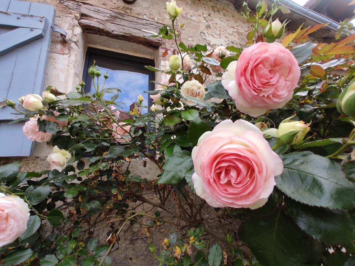 Au Jardin De La Marquetterie Villa Cigogne Exterior photo